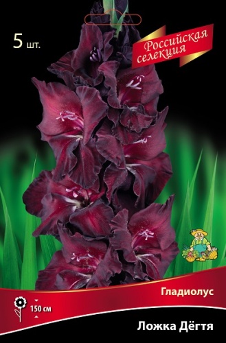 Гладиолус Ложка Дёгтя (5 шт)
