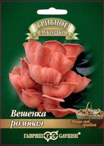 Грибы Вешенка розовая на древ. палочке 12шт