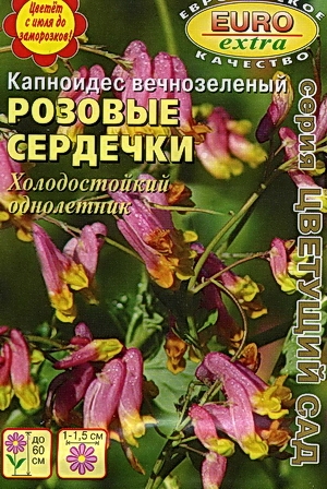 цКапноидес Розовые сердечки