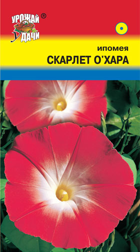 цИпомея Скарлет О*Хара 0,5г