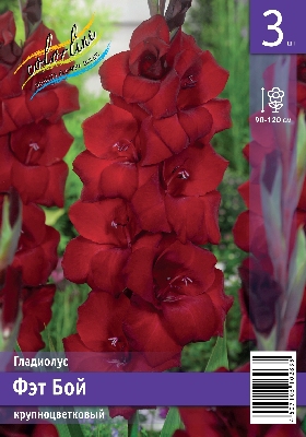 Гладиолус ЭКОНОМ-СЕРИЯ ФЭТ БОЙ (3 шт)