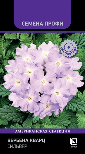 Вербена Кварц Сильвер 10шт (Семена Профи)