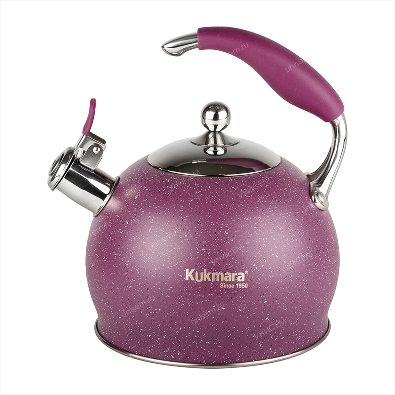 Чайник 3л MYSTERY нержавеющая сталь со свистком (уп.6)