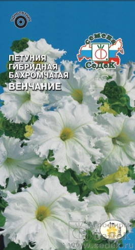 цПетуния Венчание 10шт