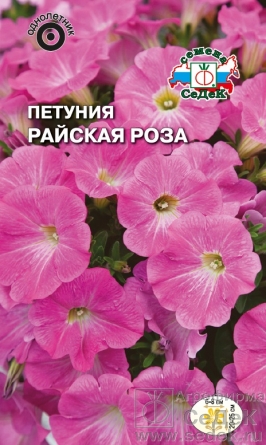 цПетуния Райская роза 0,01г