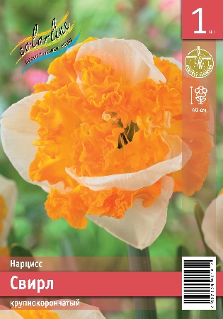 Нарцисс ЭКОНОМ-СЕРИЯ СВИРЛ (1 шт)