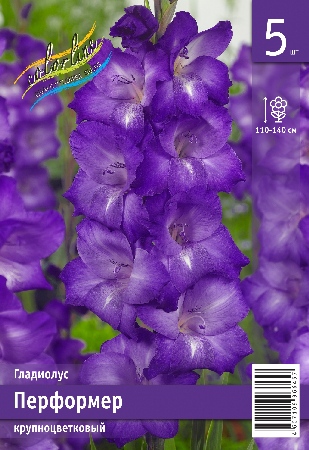 Гладиолус ЭКОНОМ-СЕРИЯ ПЕРФОРМЕР (5 шт)