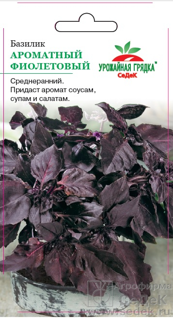 Базилик Фиолетовый УГ