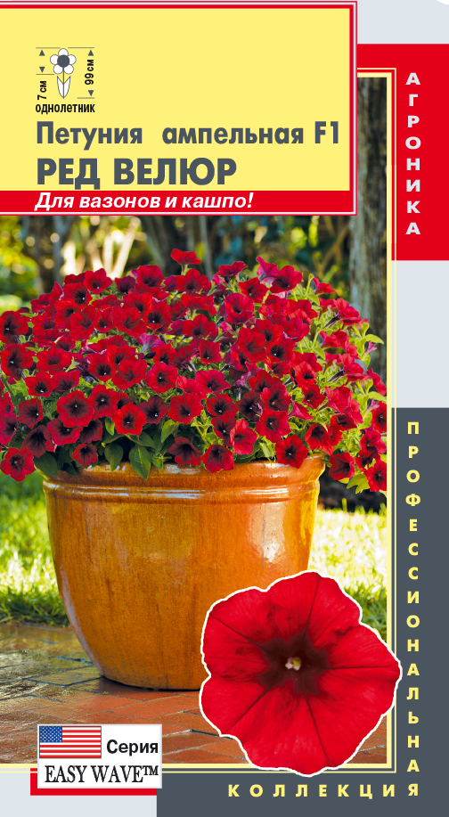 цПетуния Ред велюр