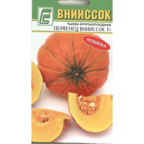 Тыква Первенец ВНИИССОК