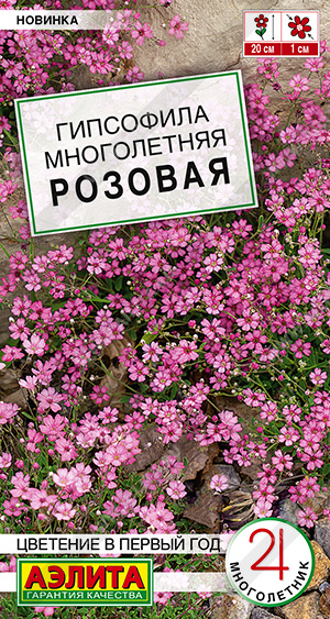 Гипсофила Розовая многолетняя