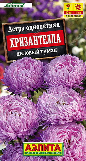 Астра Хризантелла лиловый туман 15шт
