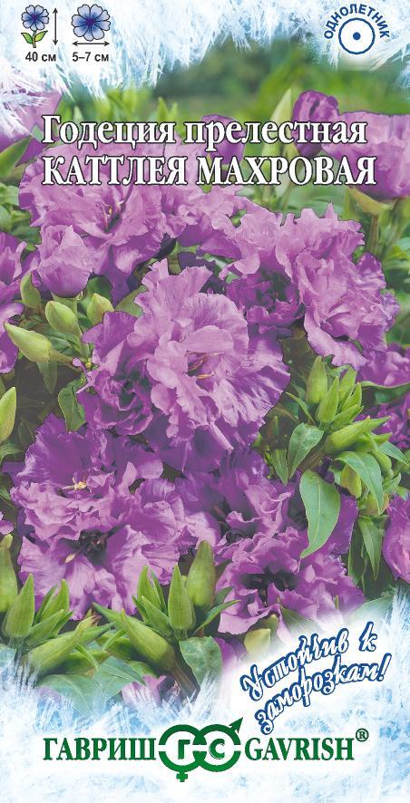 Годеция Каттлея 0,05гУстойчив к заморозкам!