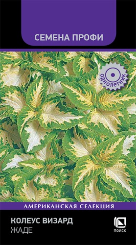 Колеус Визард Жаде 10шт (Семена Профи)