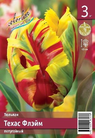 Тюльпан ЭКОНОМ-СЕРИЯ ТЕХАС ФЛЭЙМ (3 шт)