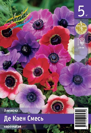 Анемона ЭКОНОМ-СЕРИЯ ДЕ КАЕН СМЕСЬ (5 шт)