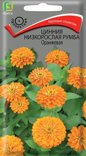 Цинния Румба Оранжевая низк. 0,1г