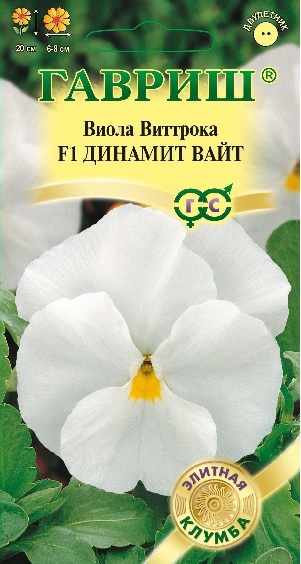 цВиола Виттрока Динамит Вайт