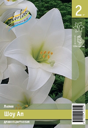 Лилия ЭКОНОМ-СЕРИЯ ШОУ АП (2 шт)