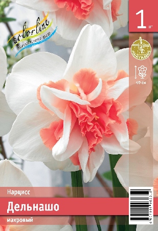 Нарцисс ЭКОНОМ-СЕРИЯ ДЕЛЬНАШО (1 шт)