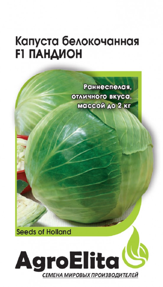Капуста бк Пандион 10 шт (Семинис)