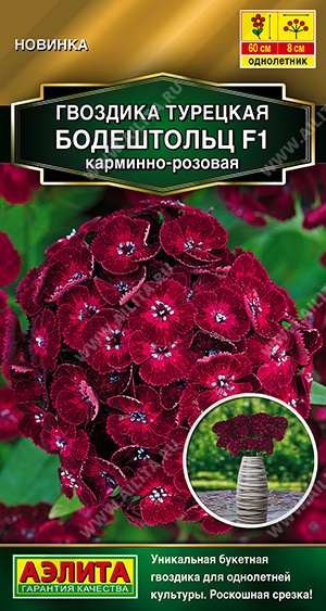 Гвоздика Бодештольц карминно-розовая турецкая 7шт