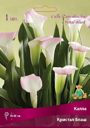 Калла Кристал Блаш (2 шт)