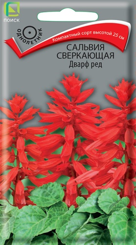Сальвия Дварф ред 0,1г
