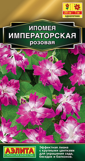 Ипомея Императорская розовая 9шт