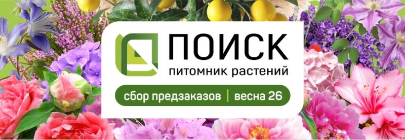ПОИСК кустарники на ВЕСНУ 2026