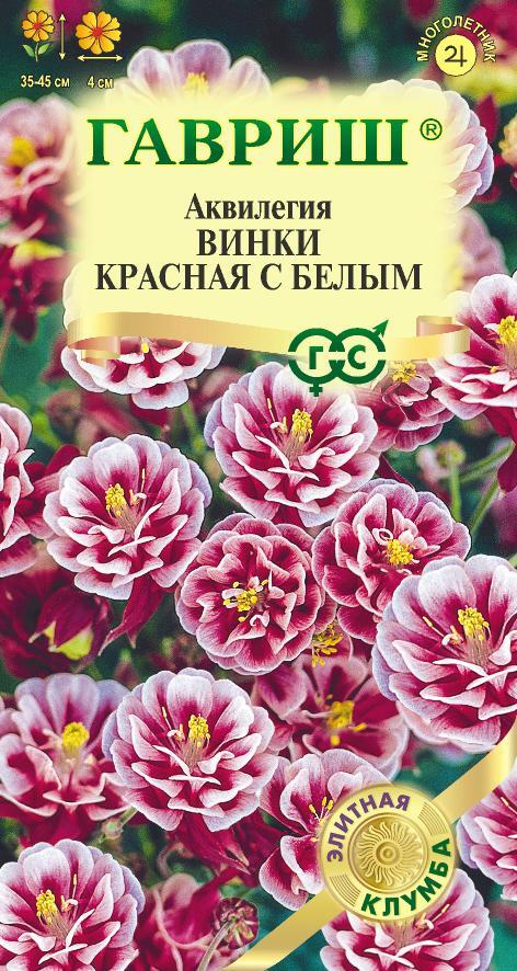 Аквилегия Винки красная с белым 5шт Элитная клумба