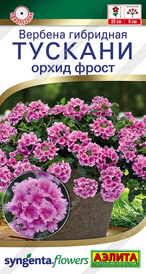 Вербена Тускани орхид фрост 5шт
