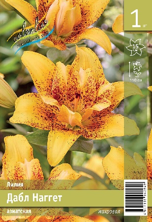 Лилия ЭКОНОМ-СЕРИЯ ДАБЛ НАГГЕТ (1 шт)