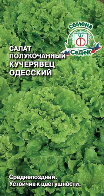 Салат Одесский кучерявец 0,5г