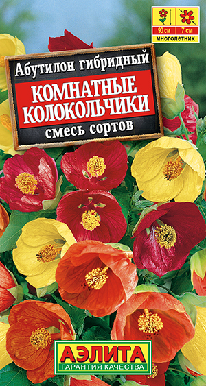 Абутилон Комнатные колокольчики 15шт