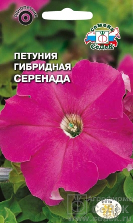 цПетуния Серенада