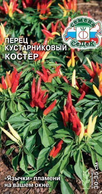Перец острый Костер кустарниковый 0,1г