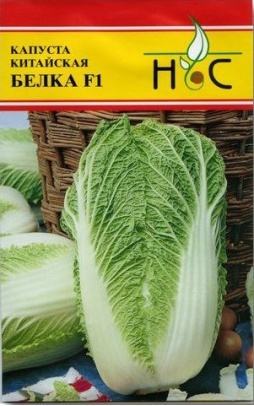 Капуста пекинская Белка 0,05г (Bejo Zaden/Голландия)