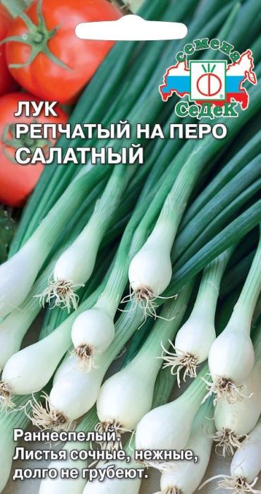Лук репчатый На перо салатный 1г