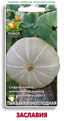 Тыква Заславия 10шт крупноплодная