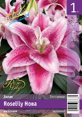 Лилия ЭКОНОМ-СЕРИЯ ROSELILY НОВА (1 шт)