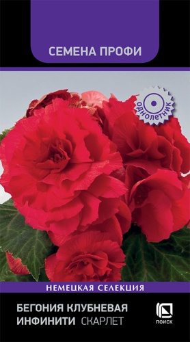 Бегония Инфинити Скарлет 7шт (семена Профи)