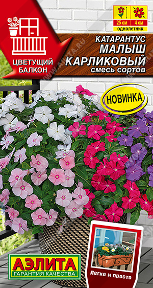 Катарантус Малыш карликовый смесь 0,05г