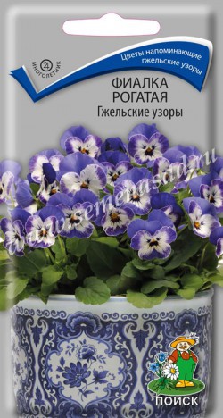 цФиалка Гжельские узоры 10шт