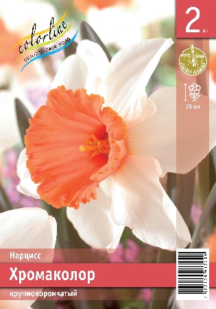 Нарцисс ЭКОНОМ-СЕРИЯ ХРОМАКОЛОР (2 шт)