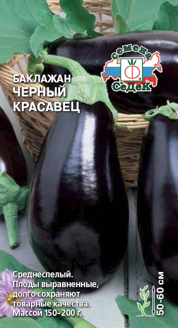 Баклажан Черный Красавец 0,3г