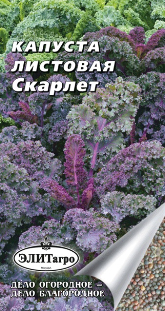 Капуста листовая Скарлет кале 0,3г