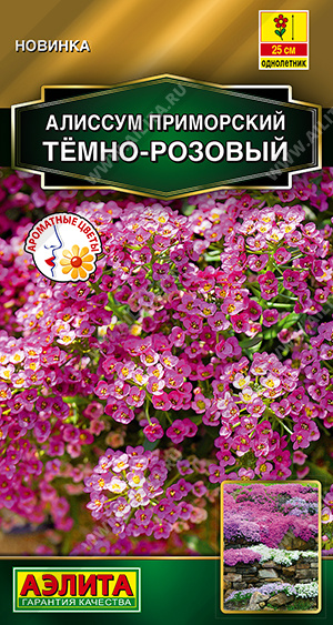 Алиссум Темно-розовый приморский 0,1г