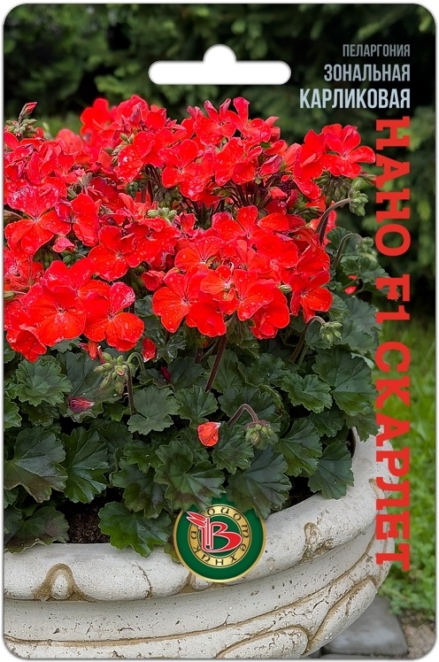 Пеларгония Нано Скарлет карликовая 5шт