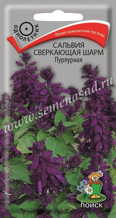 цСальвия Шарм Пурпурная 0,1г